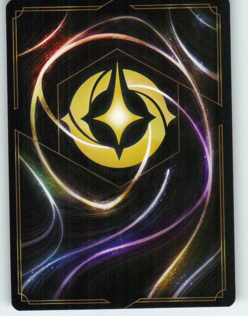 Mufasa - Champion of the Pride Lands (Back)