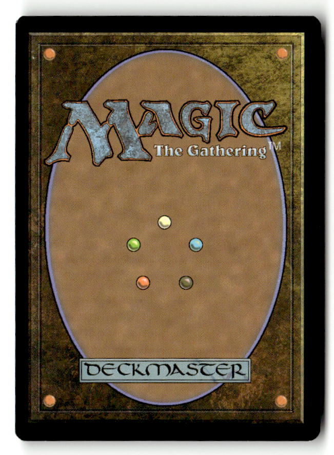 Sunrise Seeker (Back)