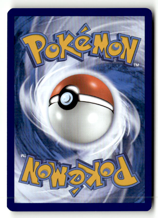 Rapidash (Back)