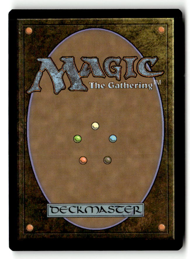 Brazen Buccaneers (Back)