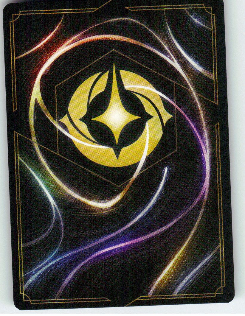 Peter Pan - Pirate's Bane (Back)