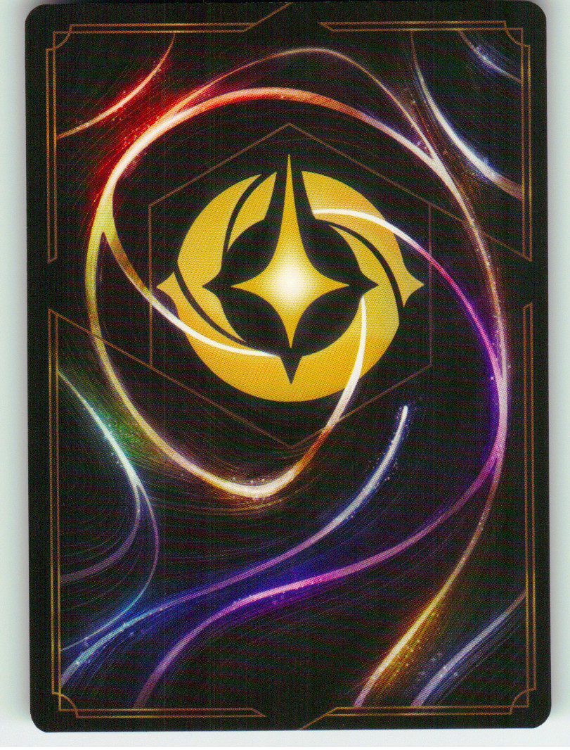 Magica De Spell - Thieving Sorceress (Back)
