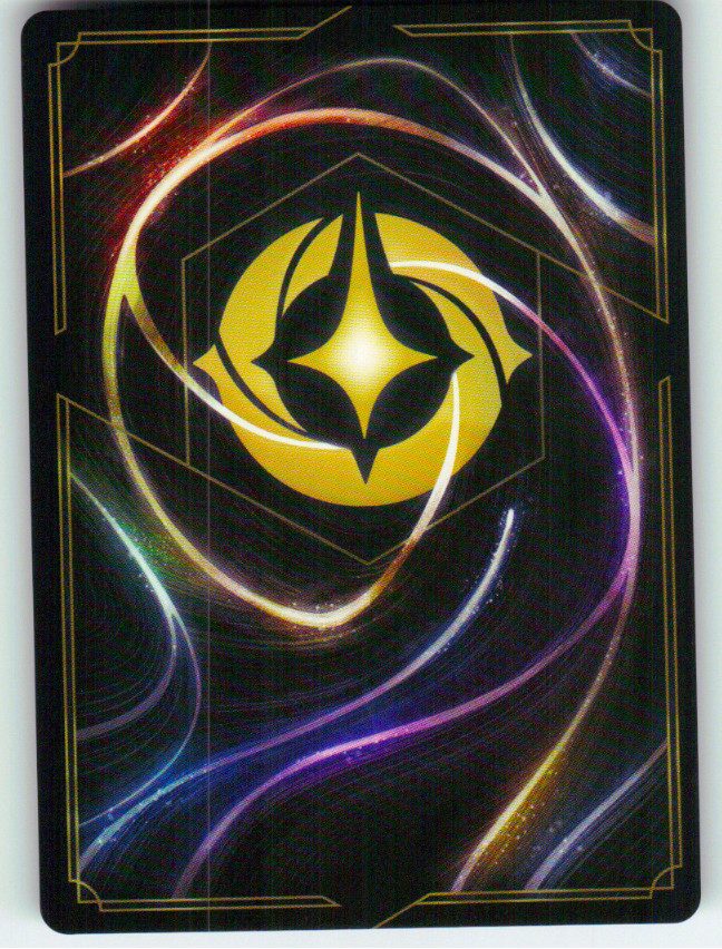Hiro Hamada - Future Champion (Back)