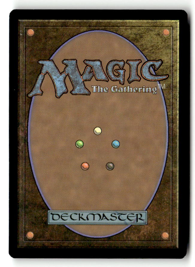Kari Zev, Skyship Raider (Back) | Lightly Played / English / Normal
