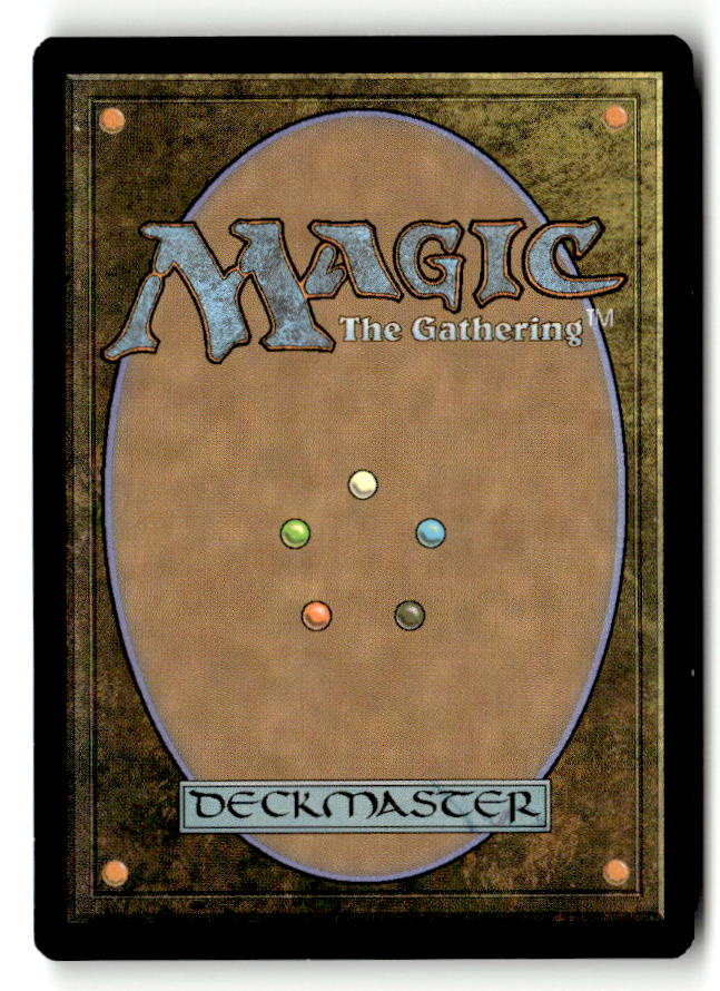 Plains (251) (Back) | Lightly Played / English / Normal