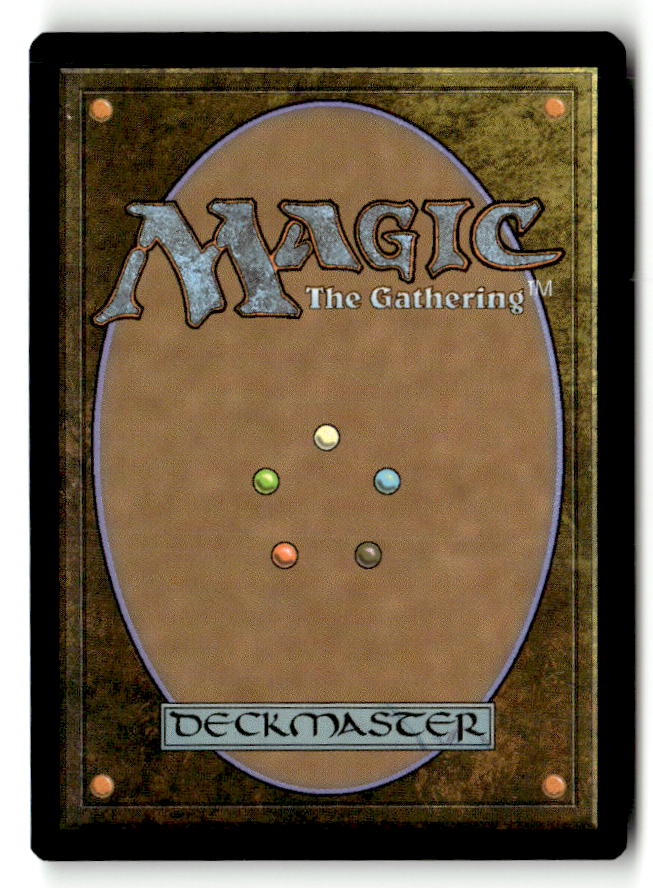 Swamp (262) (Back)
