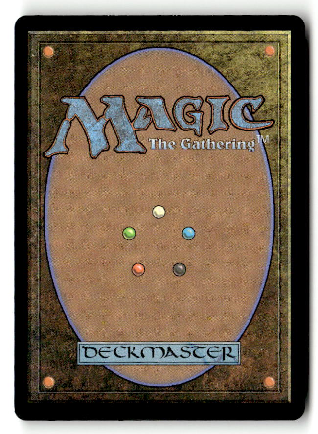 Dragon Hatchling (Back)