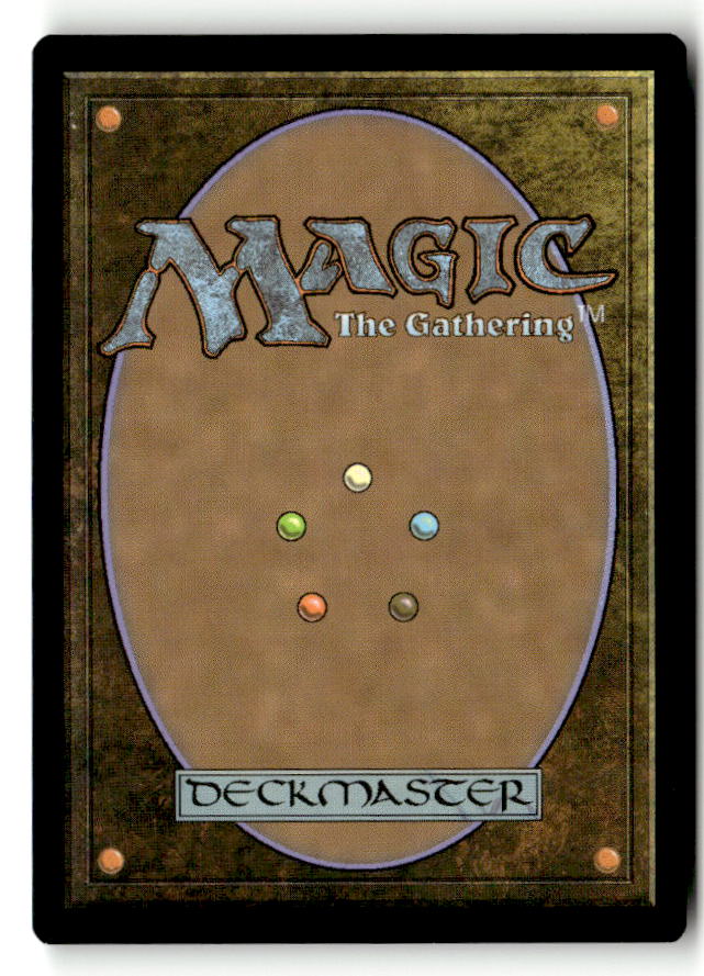 Kitesail Freebooter (Back)