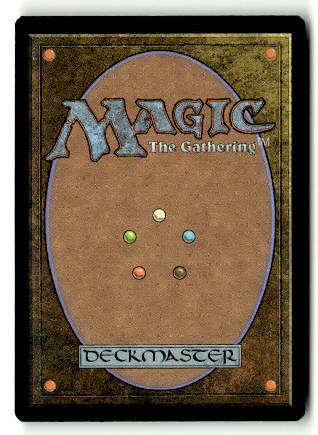 Tranquil Cove (Back)