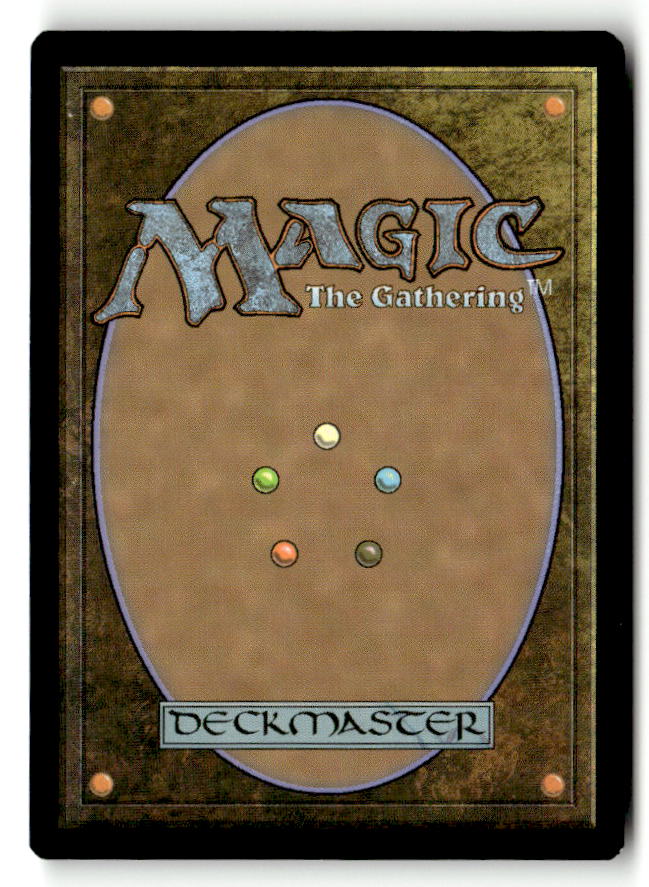 Swamp (261) (Back) | Lightly Played / English / Normal