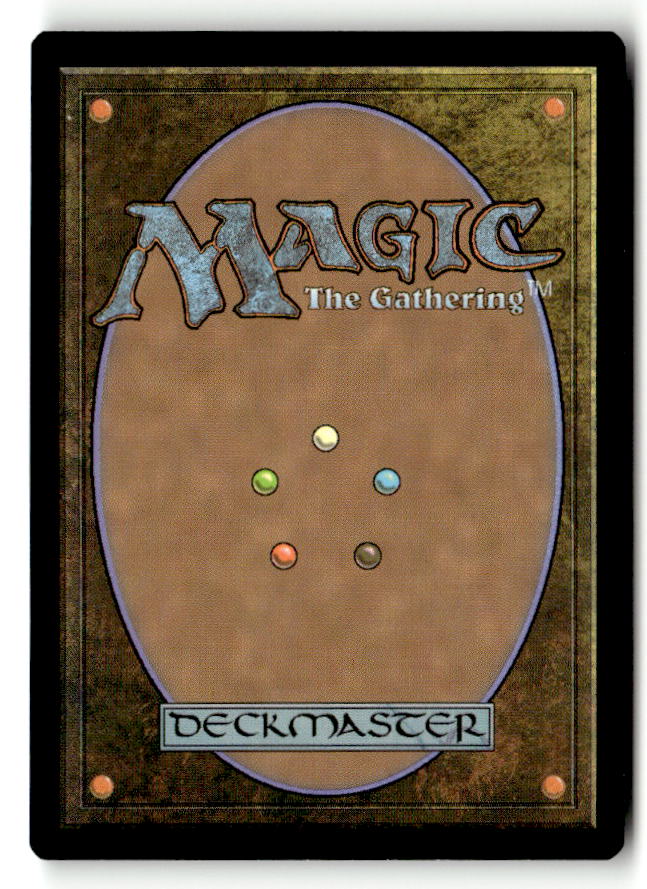 Valley Dasher (Back)