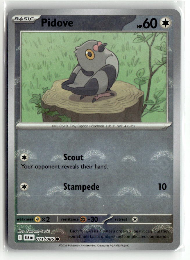 Pidove (Poke Ball Pattern)
