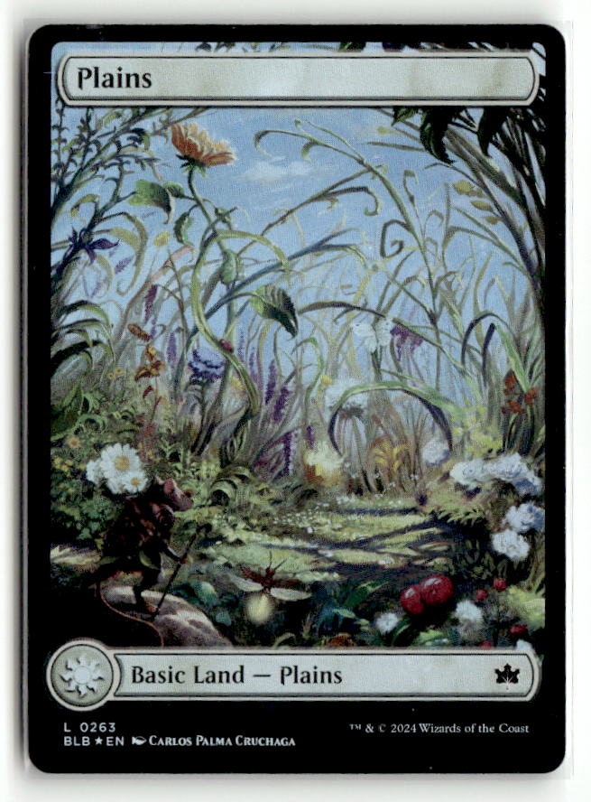 Plains (0263)