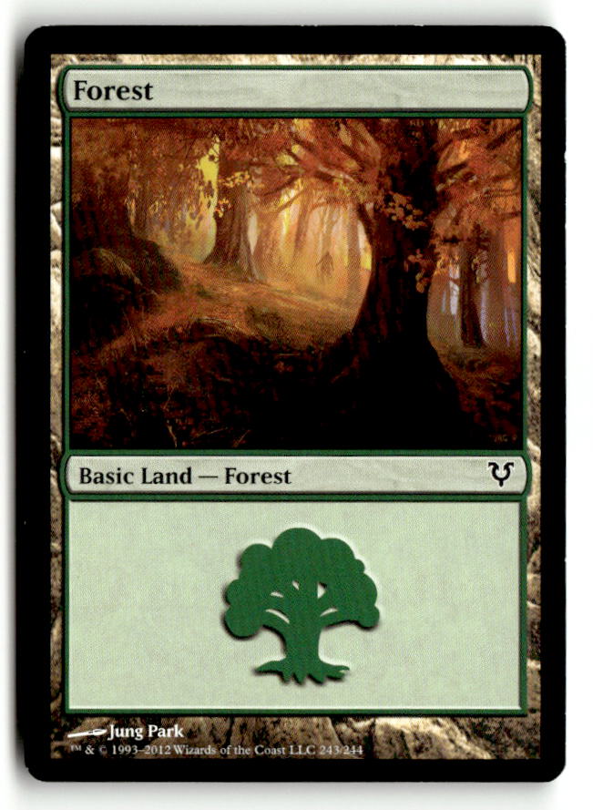 Forest (243)