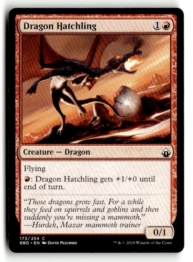 Dragon Hatchling