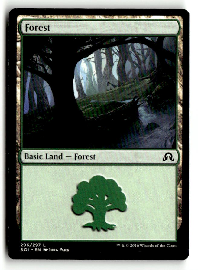 Forest (296)