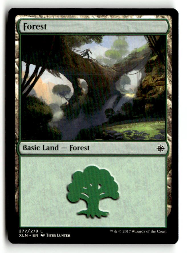 Forest (277)