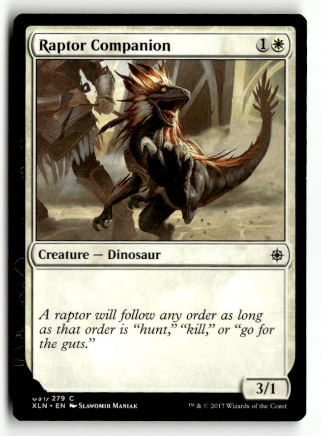 Raptor Companion