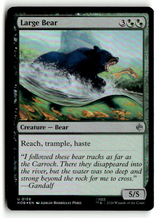 Large Bear
