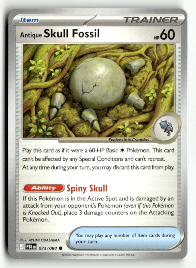 Antique Skull Fossil | Near Mint / English / Normal