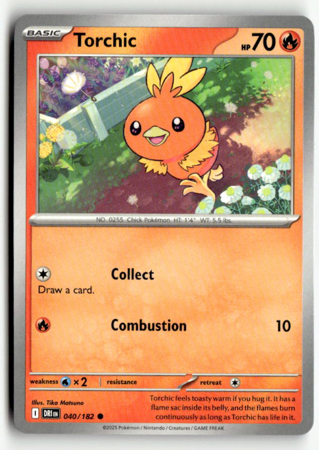 Torchic
