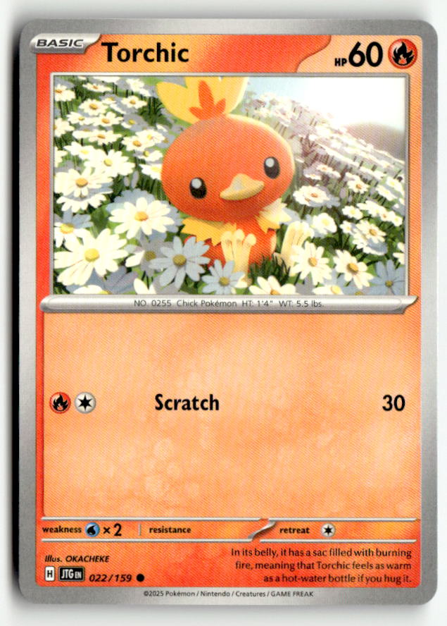 Torchic