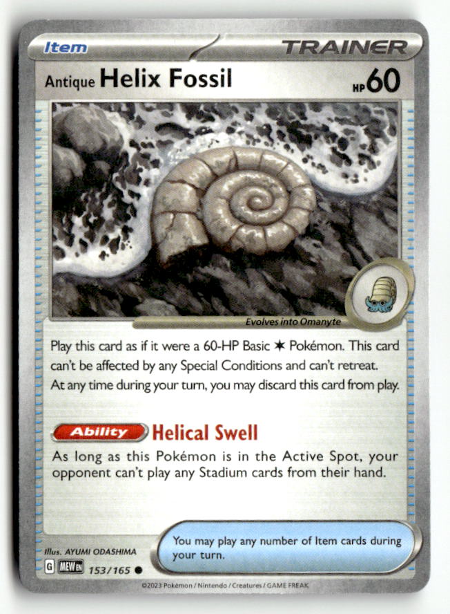 Antique Helix Fossil