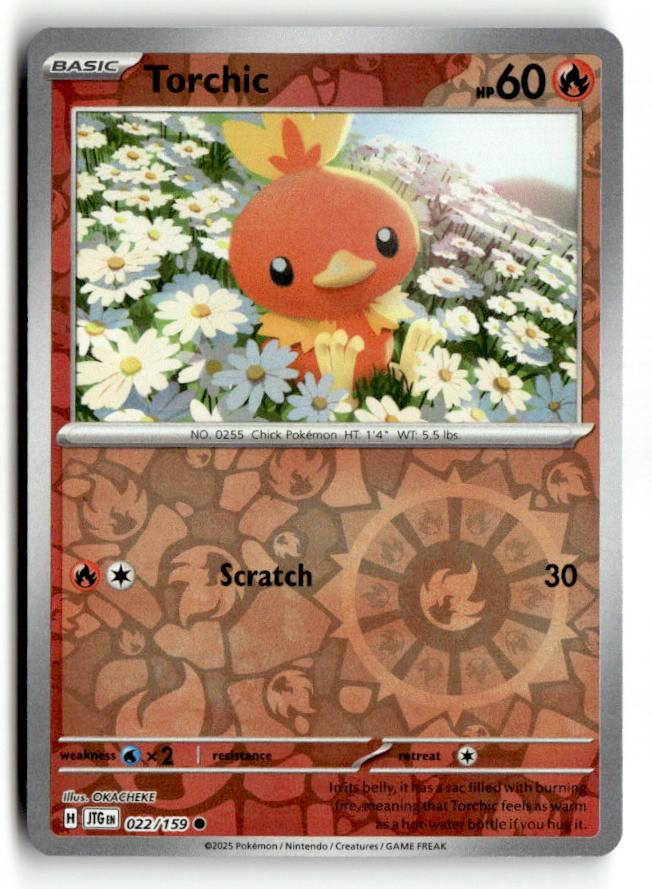 Torchic
