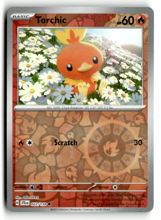 Torchic