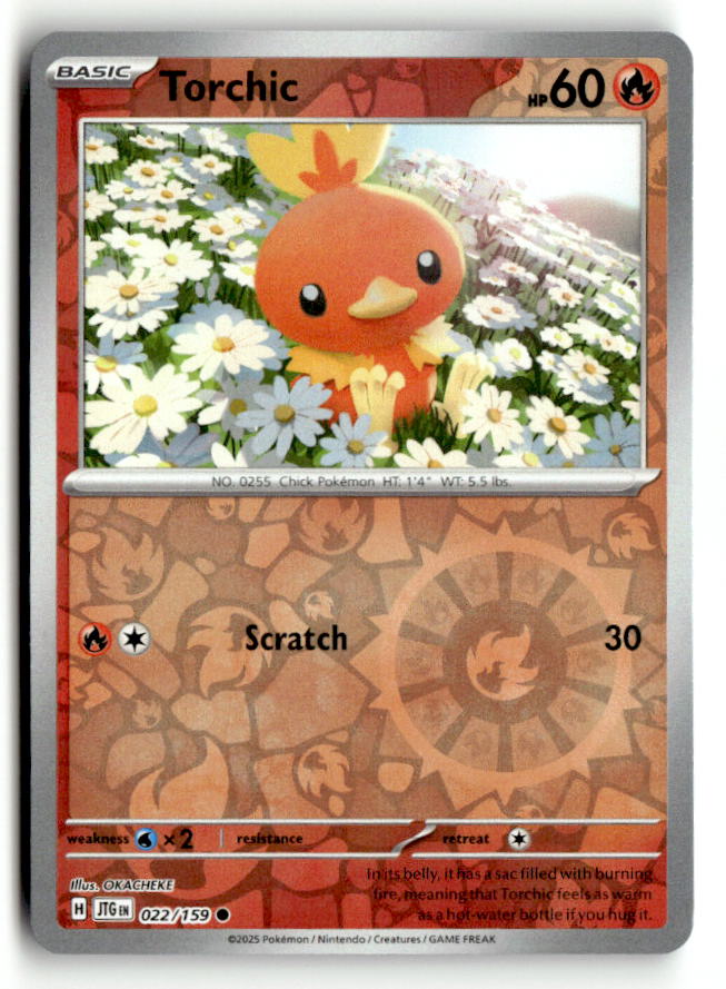 Torchic