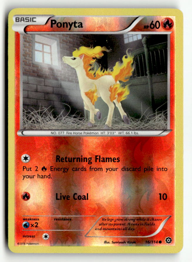 Ponyta