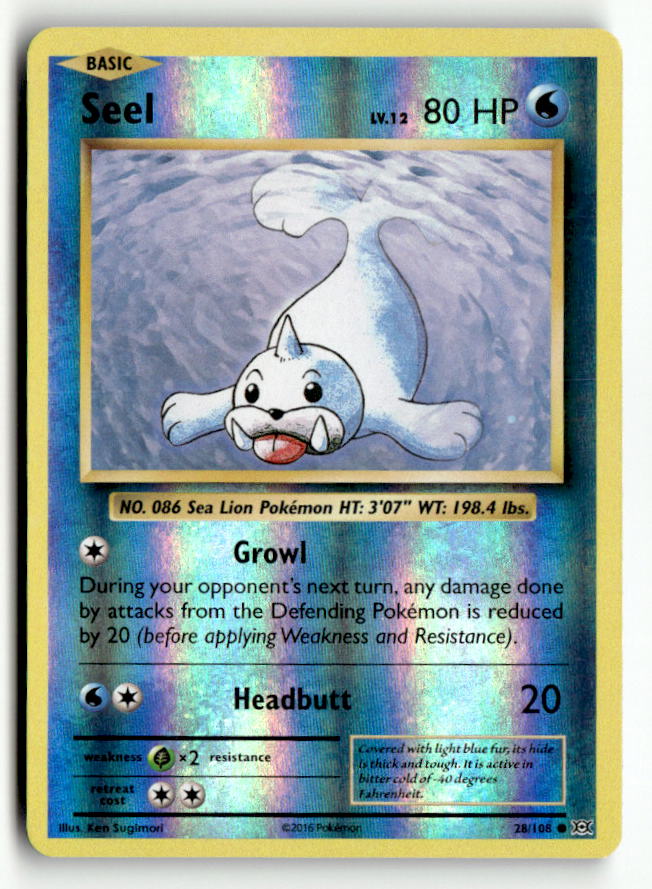 Seel