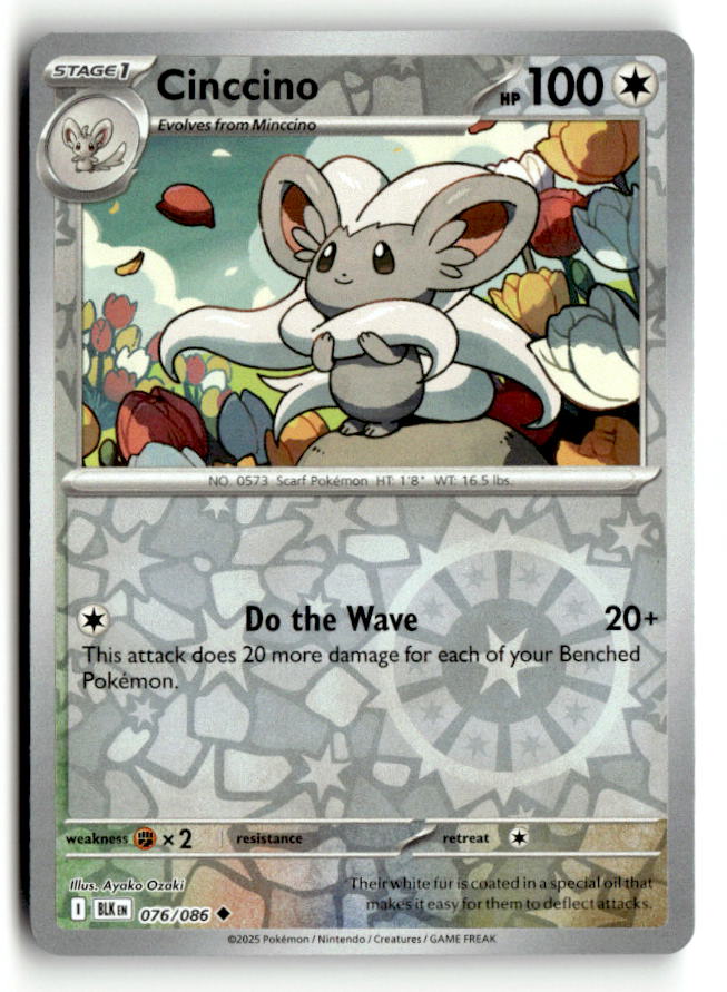 Cinccino