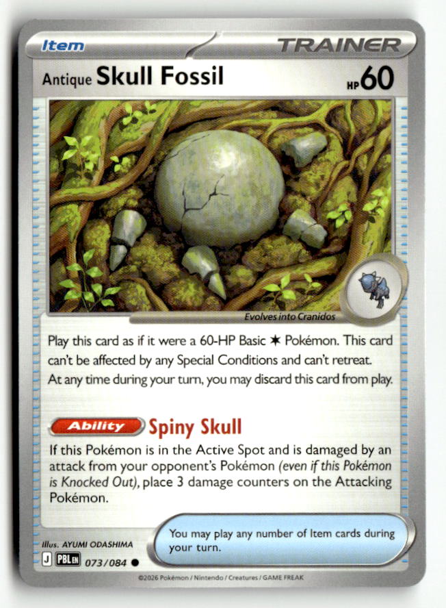 Antique Skull Fossil | Near Mint / English / Normal