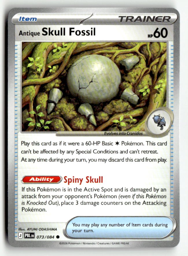 Antique Skull Fossil | Near Mint / English / Normal