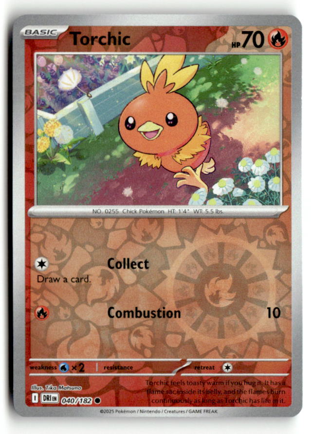Torchic
