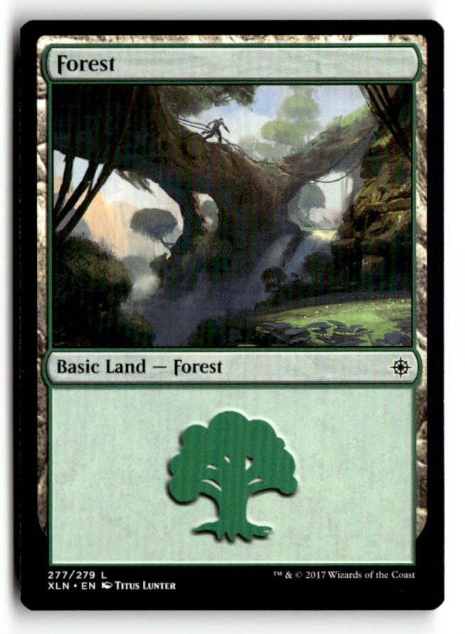 Forest (277)