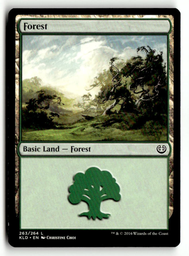 Forest (263)