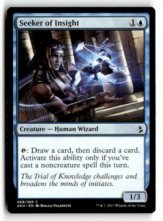 Seeker of Insight
