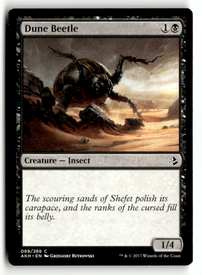 Dune Beetle