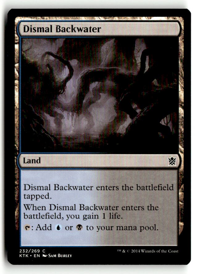 Dismal Backwater | Lightly Played / English / Normal