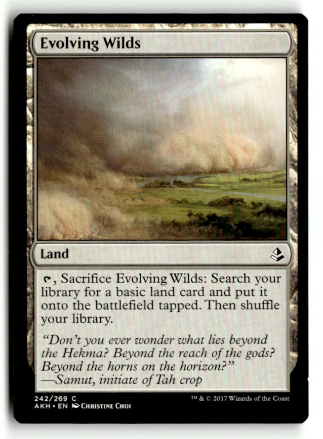 Evolving Wilds