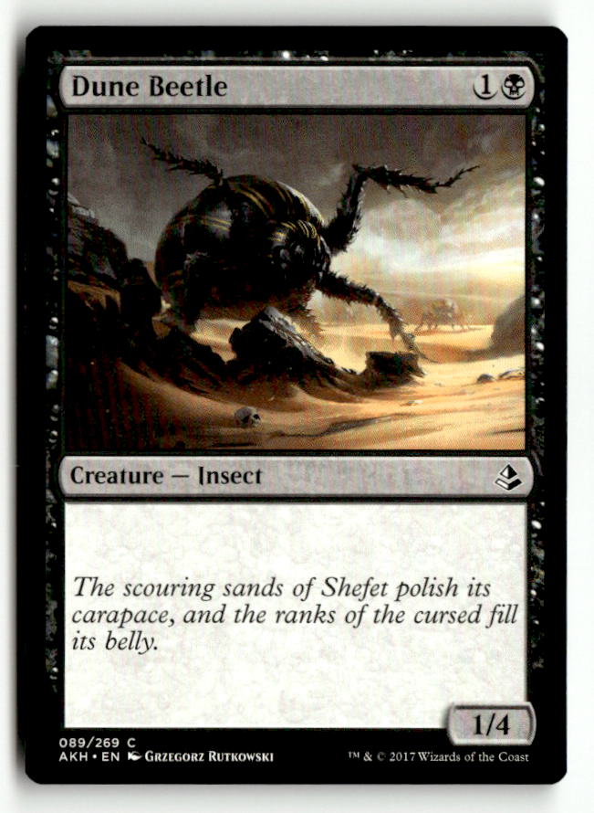 Dune Beetle