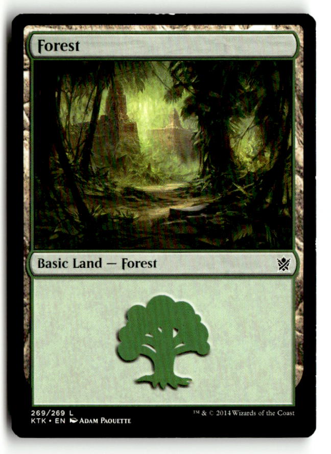 Forest (269)