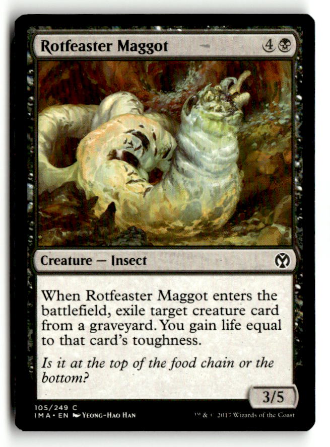 Rotfeaster Maggot