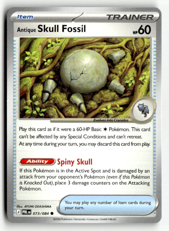 Antique Skull Fossil | Near Mint / English / Normal