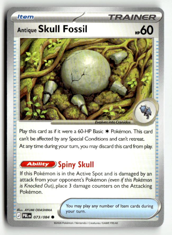 Antique Skull Fossil | Near Mint / English / Normal