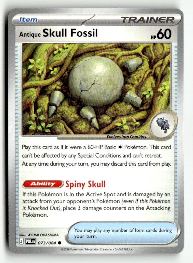 Antique Skull Fossil | Near Mint / English / Normal