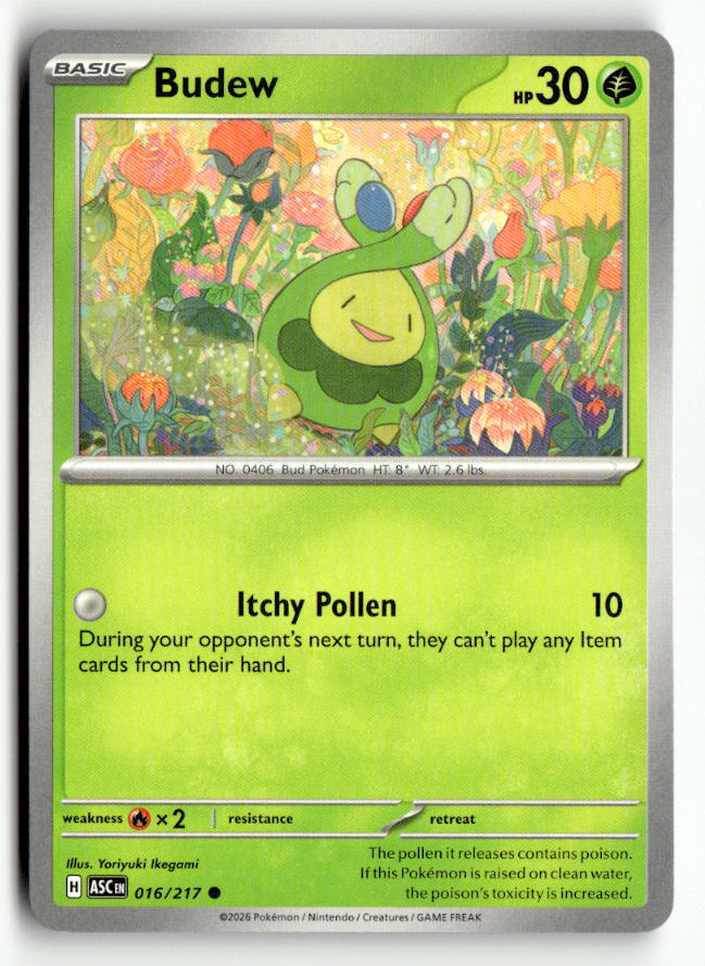 Budew - 016/217