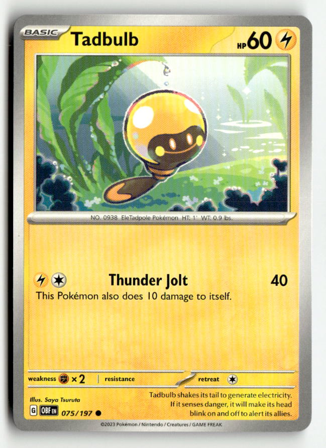 Tadbulb 075/197